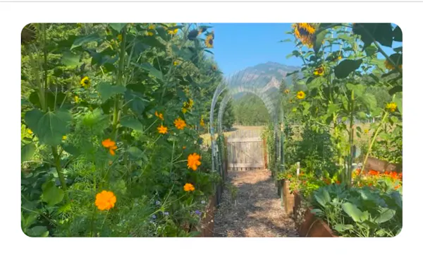 flower, green, yellow, plants, field, garden