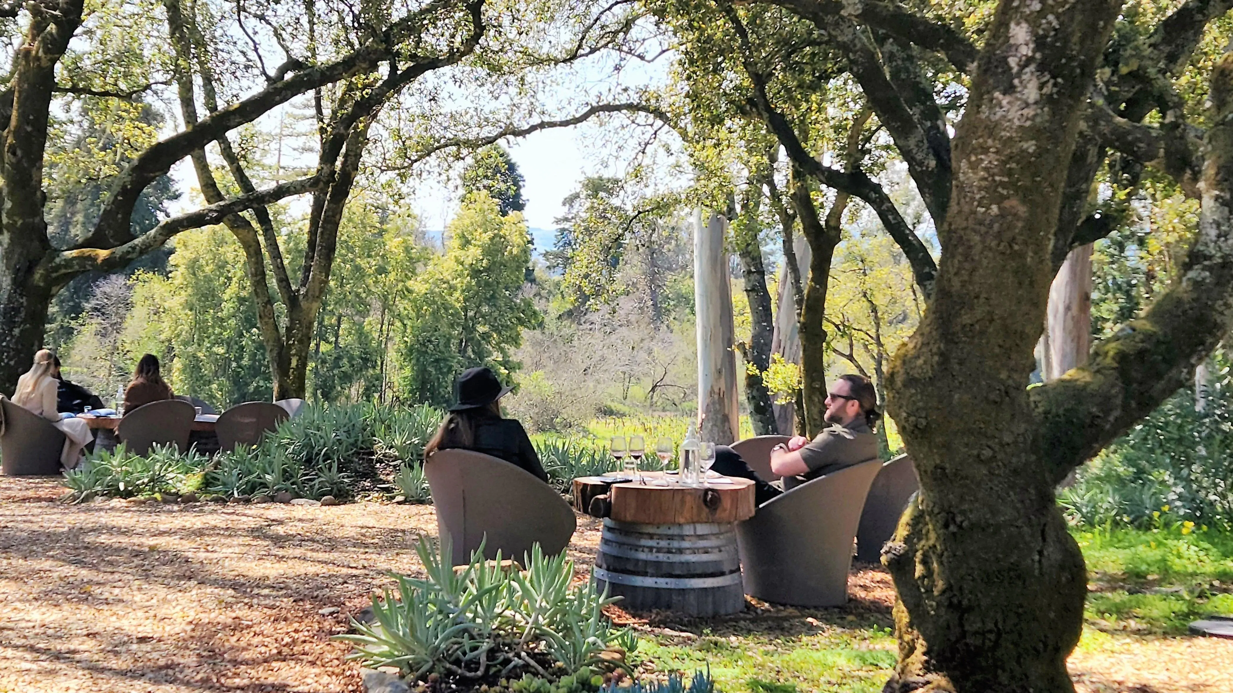 Knoll Spring Oak Knoll Spring Tasting Celebration - Bartholomew Estate Winery ...