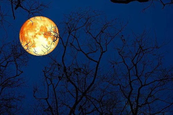 blue, moon, astronomical object, event, night, full moon