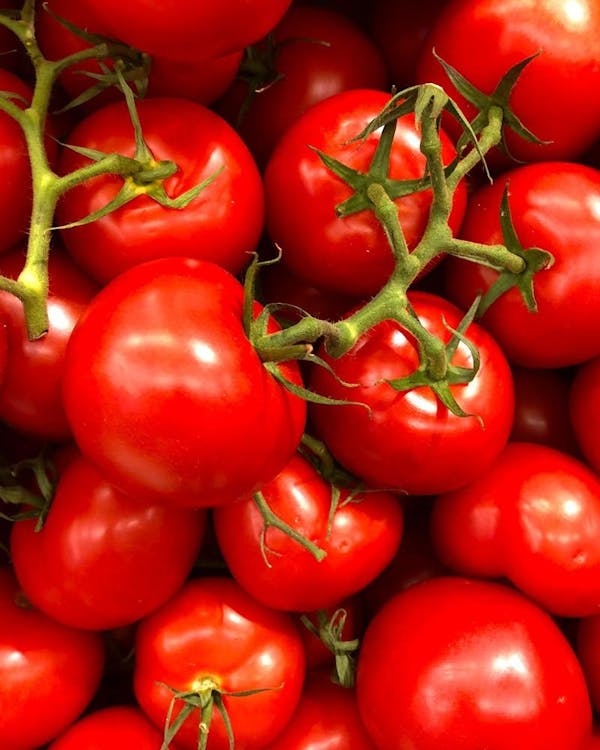 food, plant, photograph, white, plum tomato, fruit