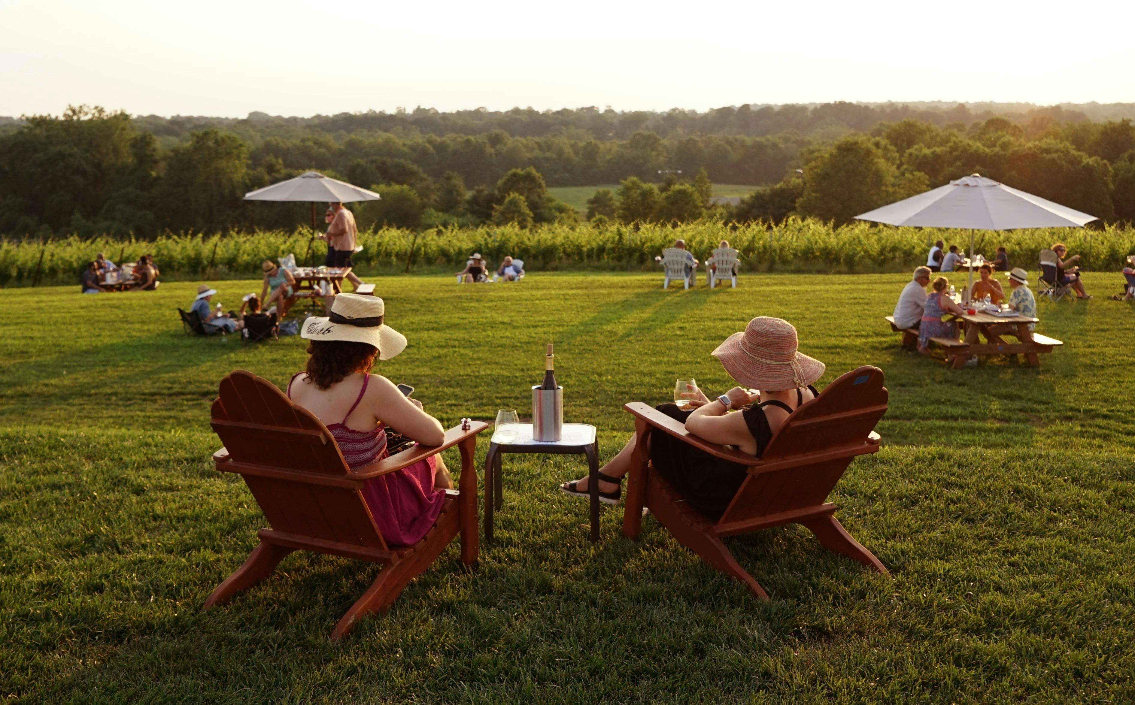 Windridge Vineyards