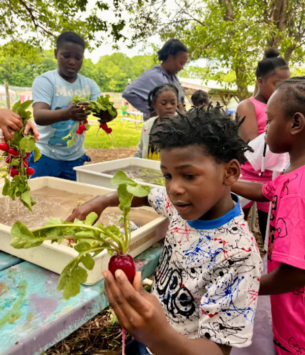 community, child, plantation, produce, soil, agriculture