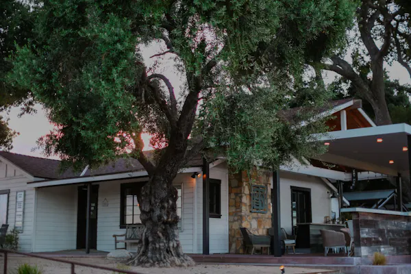 building, tree, home, wood, house, branch