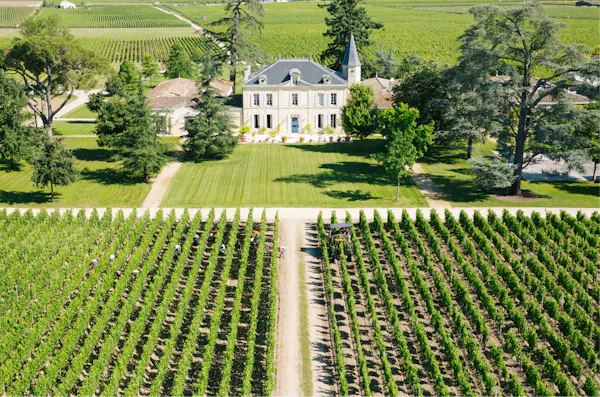 plain, plantation, estate, agriculture, mansion, field