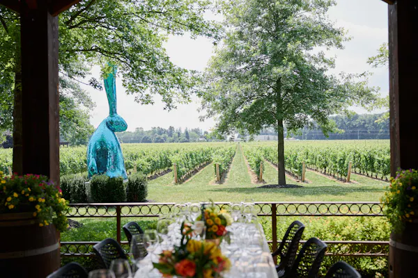 garden, spring, plantation, meadow, lawn, park