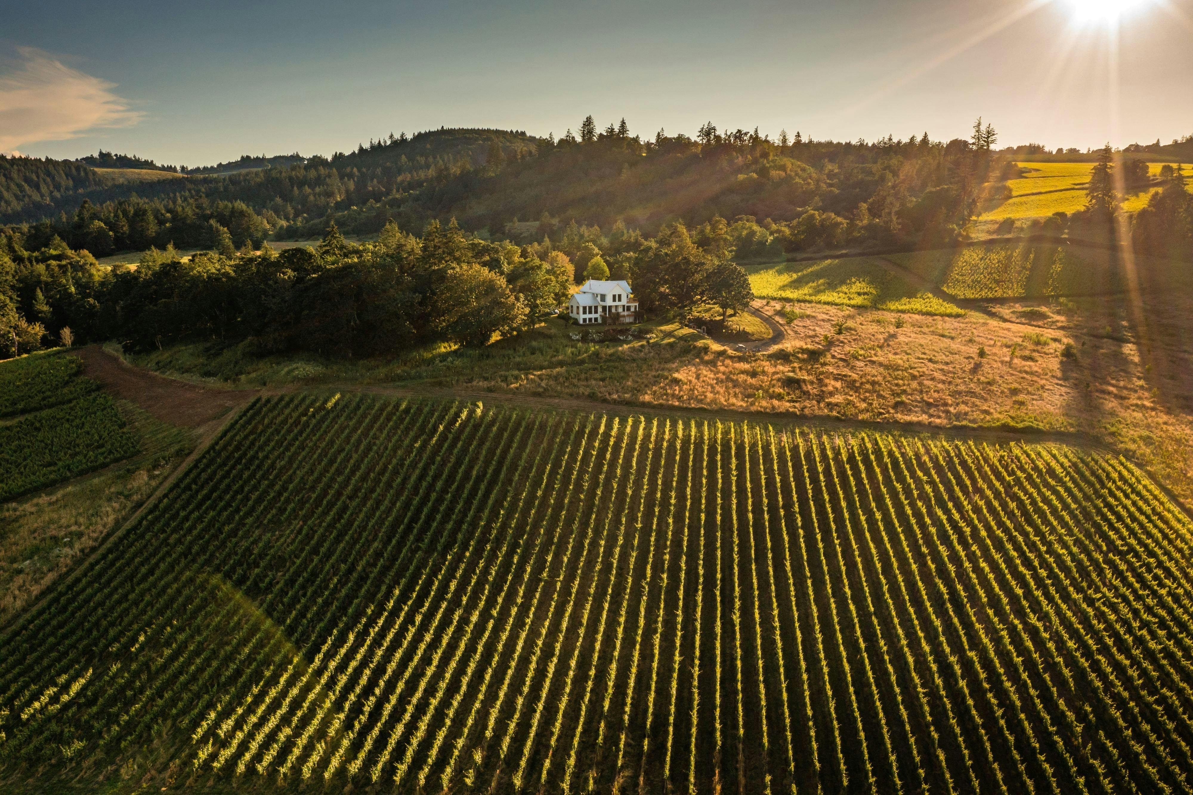 Bledsoe | McDaniels – Coulee Estate