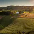 Bledsoe | McDaniels – Coulee Estate in Willamette Valley