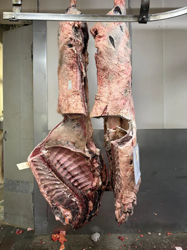 meat, animal product, pork, red meat, flesh, beef