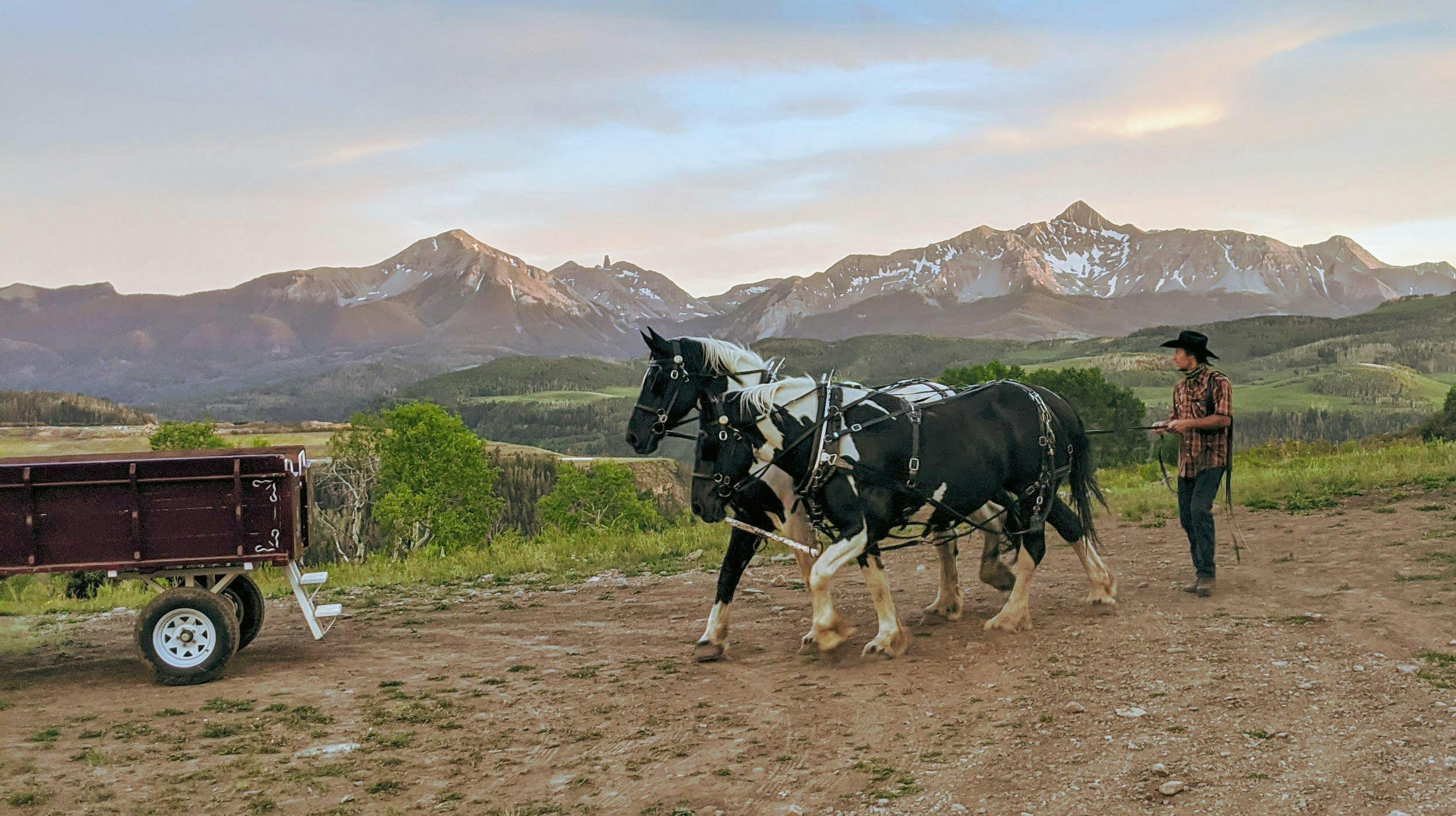 Telluride Sleighs and Wagons