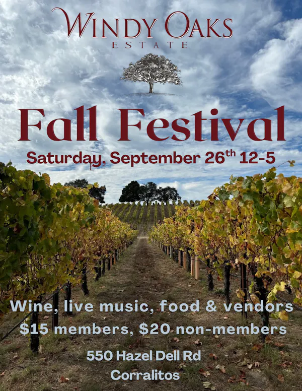 poster, agriculture, vineyard, grapevines, autumn