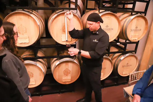 barrel, winery, brewery, wine cellar