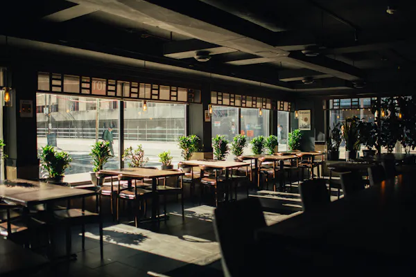 restaurant, houseplant, chair, design, hardwood, kitchen & dining room table
