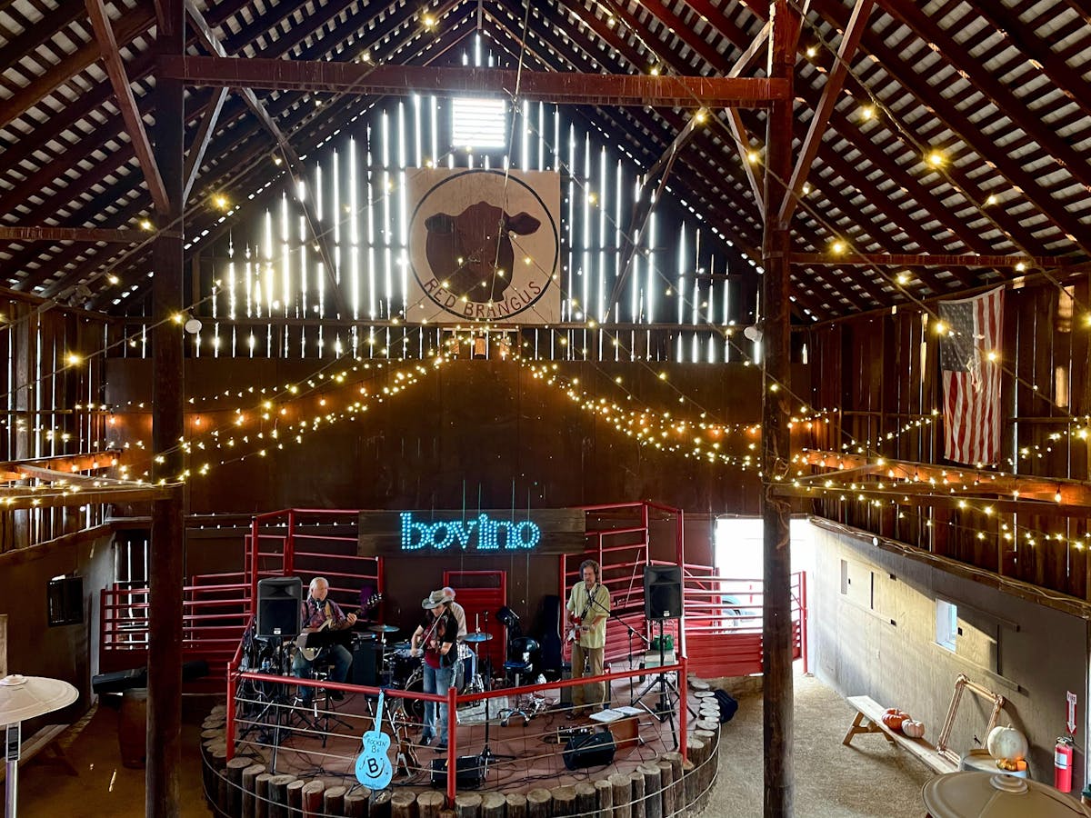 Bovino Vineyards Templeton, CA Tock