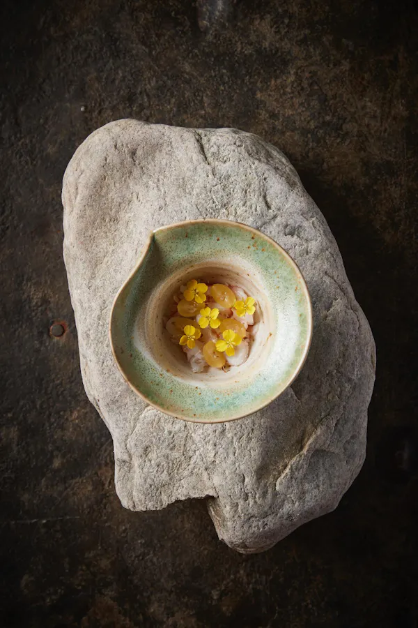 tableware, food, dishware, ingredient, serveware, cuisine