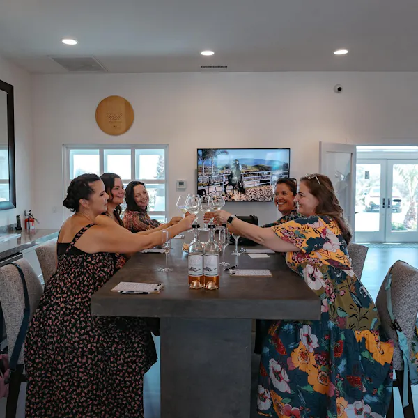 furniture, table, tableware, drinkware, dress, sharing