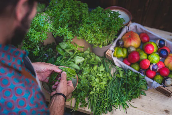 plant, food, natural foods, leaf vegetable, ingredient, whole food
