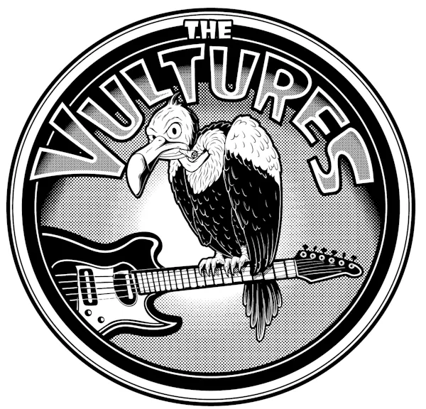 chordophone, string instrument, plucked string instrument, guitar, beak, guitarist