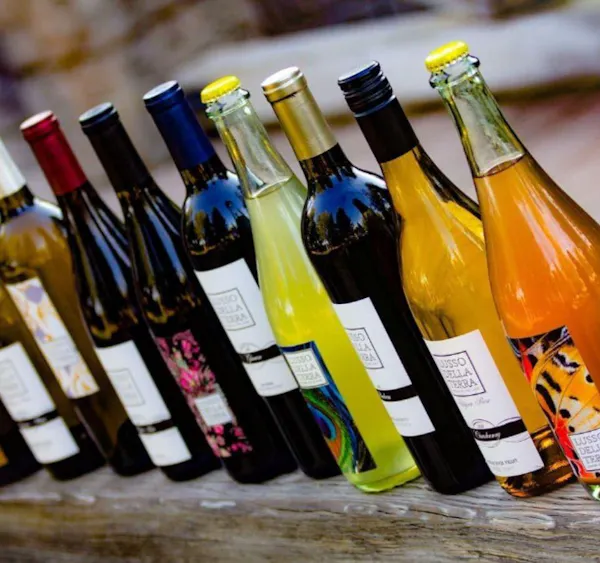 bottle, liquid, drinkware, glass bottle, bottle cap, drink
