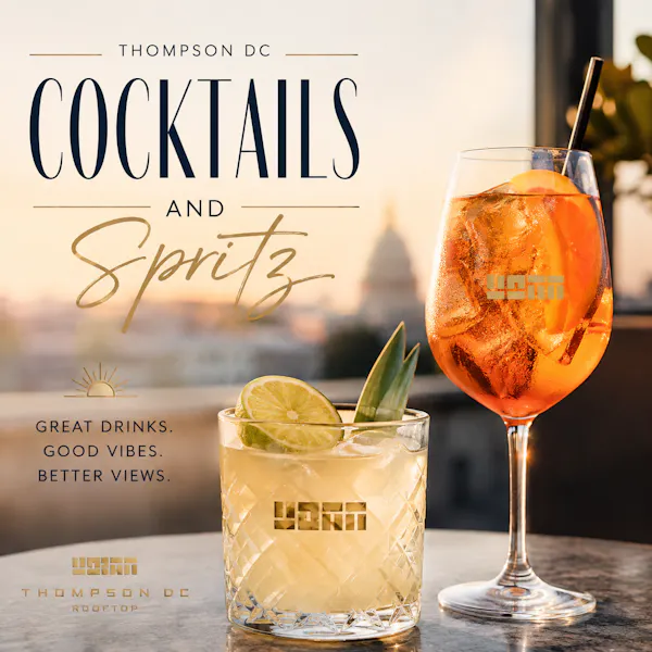 alcoholic drink, tableware, liquor, classic cocktail, citrus, cocktail