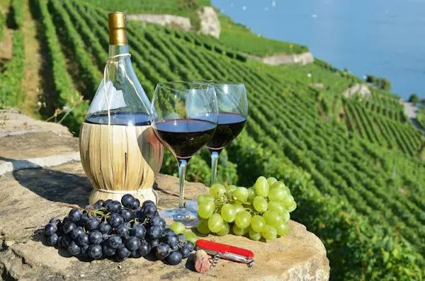 bottle, alcoholic drink, liquid, alcohol, barware, wine