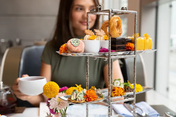 food, tableware, finger food, dessert, ingredient, cake