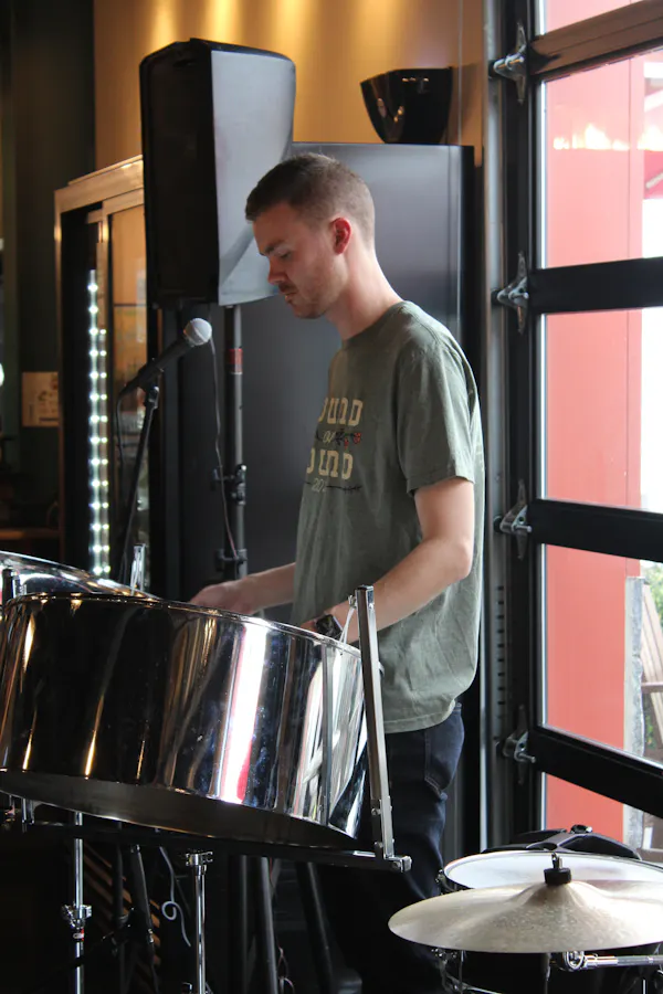 membranophone, idiophone, musical instrument, drum, drumhead, musician