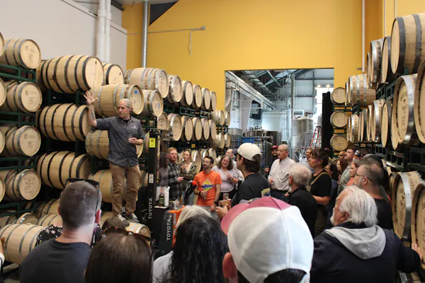 winery, barrel, brewery, mass production, wine cellar, factory