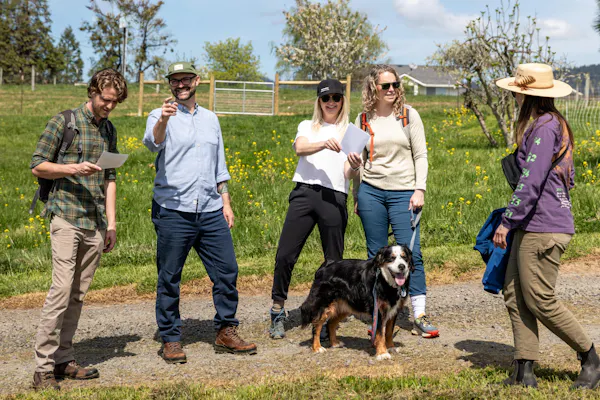 dog, carnivores, trousers, jeans, hat, grassland