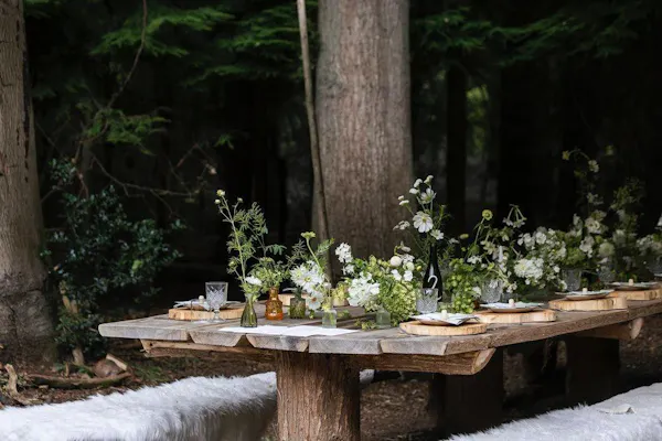 plant, table, flower, botany, wood, tree