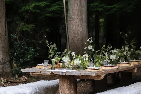 plant, table, flower, botany, wood, tree