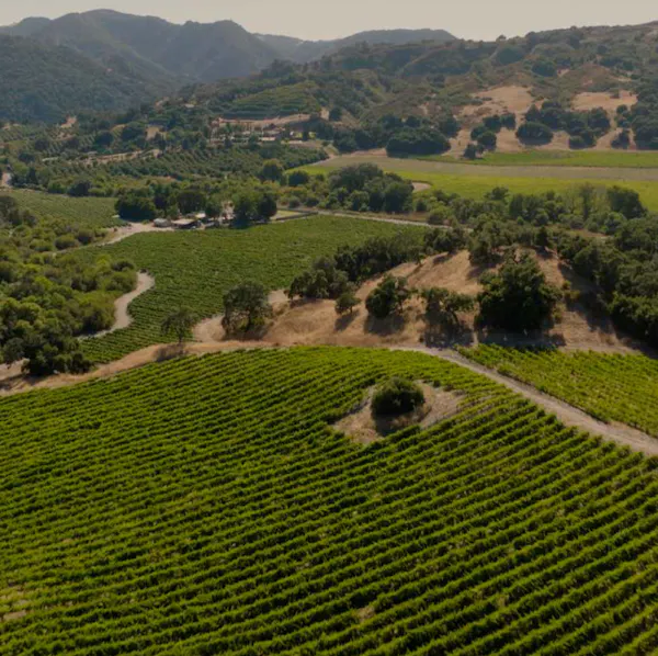 mountainous landforms, mountain, hill, highland, agriculture, plantation