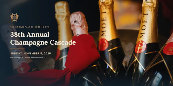 bottle, alcoholic drink, liquid, glass bottle, champagne, wine bottle