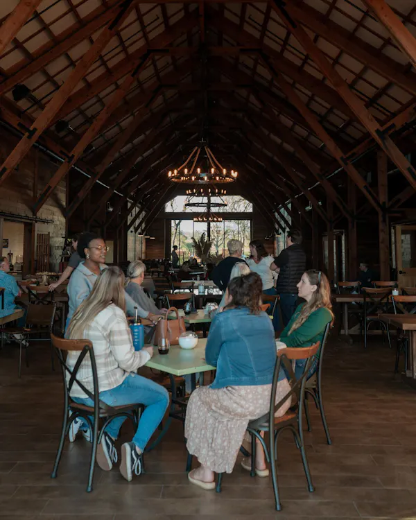 wood, furniture, ceiling, restaurant, chair, customer