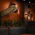 Soul Gastrolounge