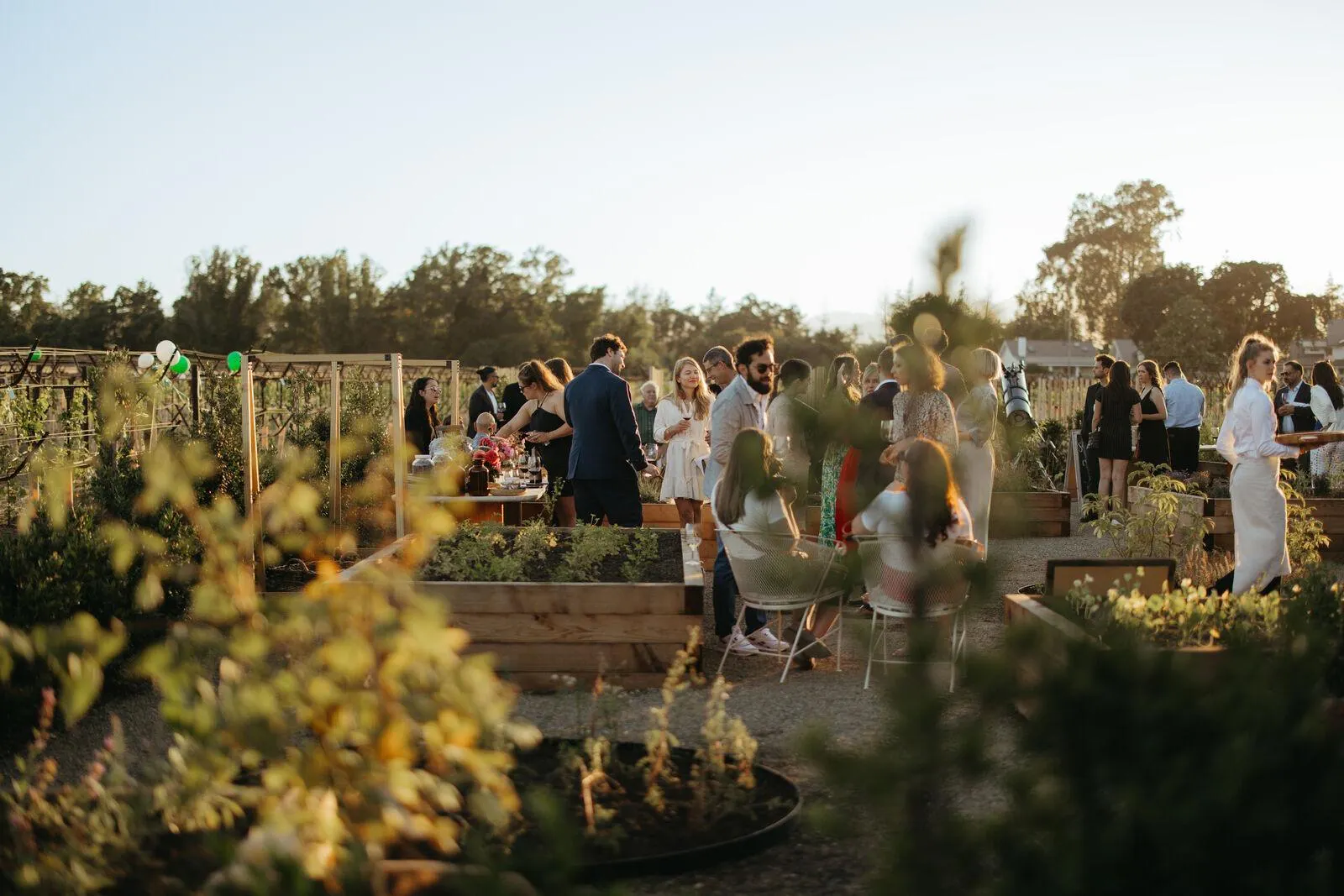 Luminary Weekend Luminary Harvest Weekend: Kickoff Celebration - Burgess - Napa, CA ...