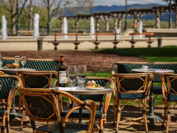 furniture, table, outdoor furniture, outdoor table, chair, shade