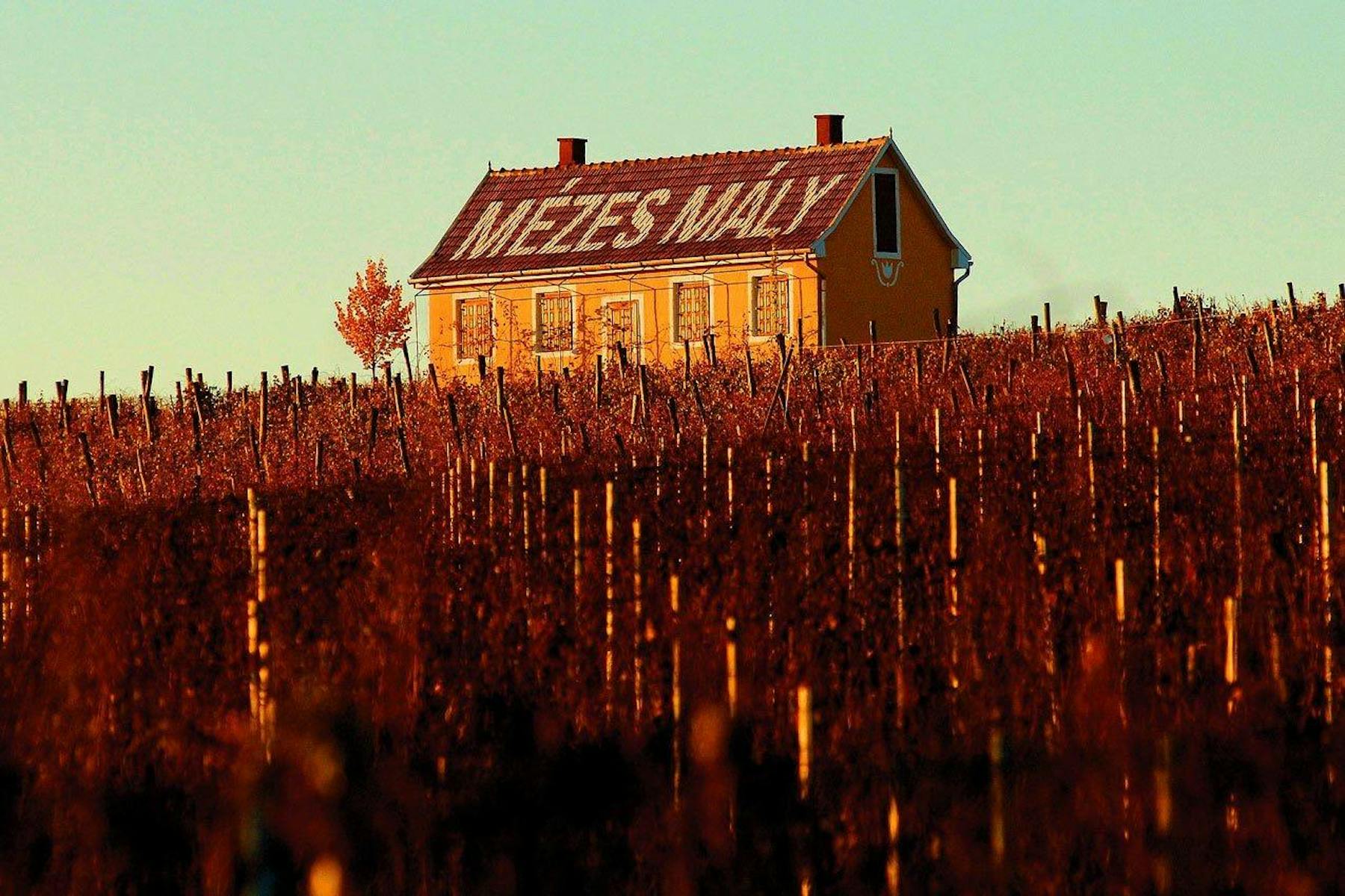 Accent Wine Columbus, OH Tock