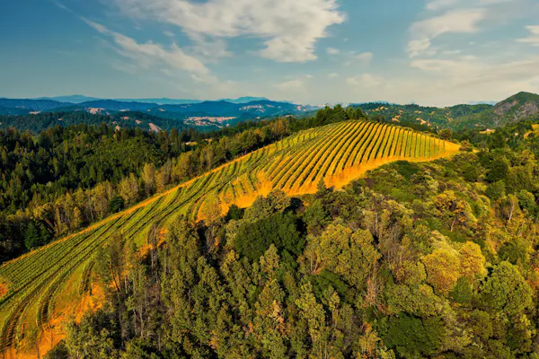 green, natural landscape, hill, yellow, agriculture, landscape
