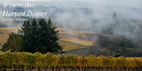 natural landscape, agriculture, plantation, field, vineyard, farm