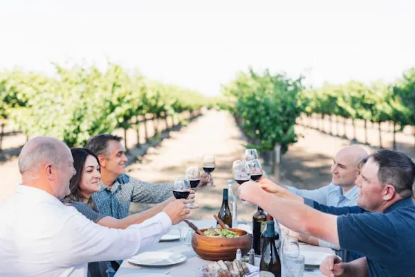 agriculture, leisure, vineyard, plantation, vacation, grapevines