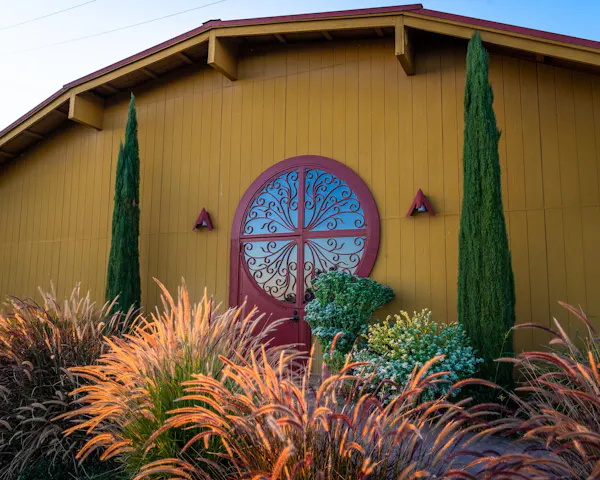 shed, grass, house, tree, door, plant