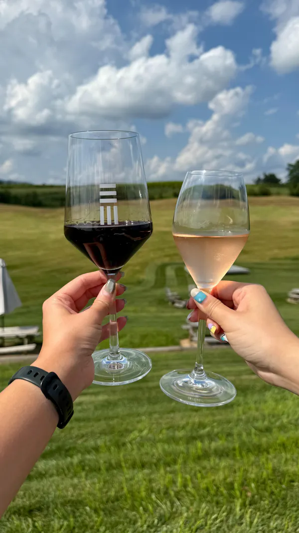 stemware, drinkware, tableware, alcoholic drink, wine glass, wine