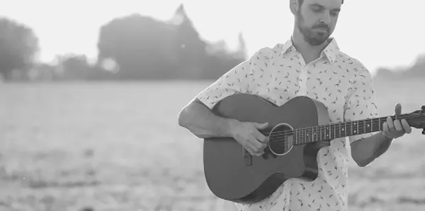 string instrument, plucked string instrument, musical instrument, chordophone, guitar, guitarist