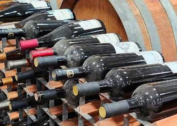 bottle, wine cellar, winery, glass bottle, wine bottle, alcoholic drink