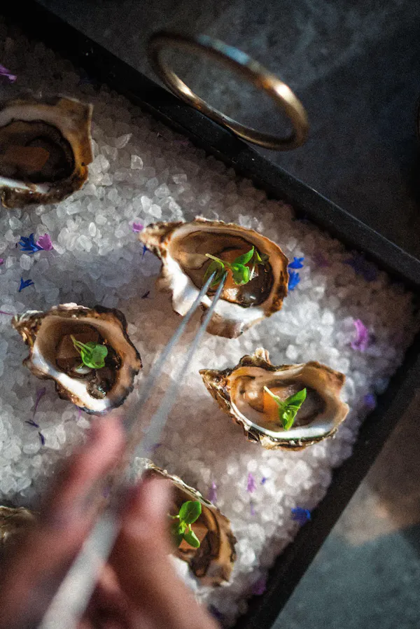 food, bivalvia, ingredient, seafood, oyster, finger food