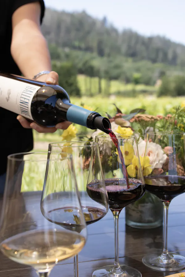 tableware, plant, stemware, bottle, drinkware, wine glass