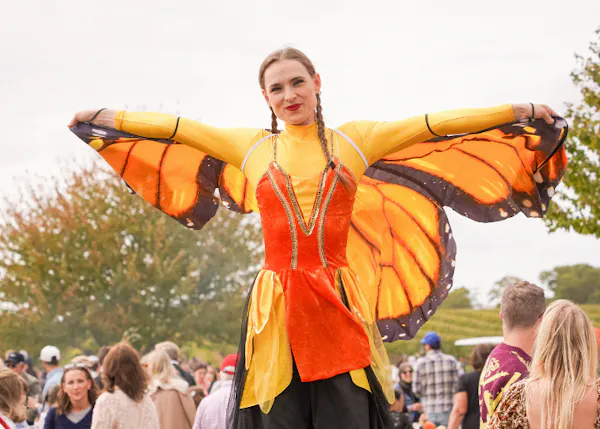event, entertainment, wing, pollinator, performing arts, costume