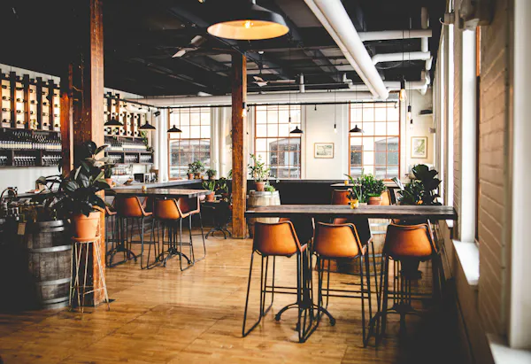 table, furniture, chair, window, plant, flowerpot