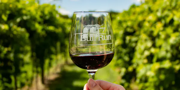 tableware, drinkware, stemware, wine, barware, wine glass