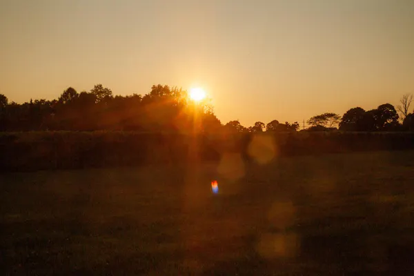 sun, daytime, nature, yellow, atmospheric phenomenon, astronomical object
